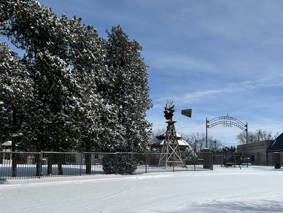 Photo 08